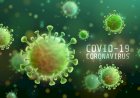 Sábado (24): Mato Grosso registra 352.818 casos e 9.463 óbitos por Covid-19