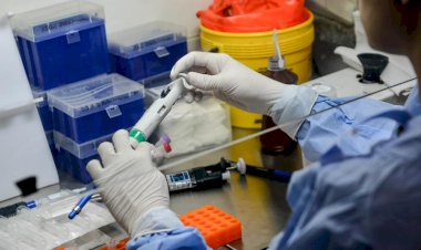 Sexta-feira (16): Mato Grosso registra 341.074 casos e 8.997 óbitos por Covid-19