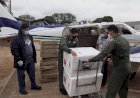 Colegiado define distribuição de doses das vacinas CoronaVac e AstraZeneca