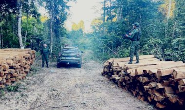 Batalhão Ambiental encaminha homem à Delegacia após flagrante de extração ilegal de madeira