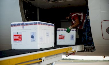 Colegiado define destinação da vacina Pfizer
