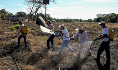 Corpo de Bombeiros firma parceria com prefeituras para criação de brigadas mistas de combate aos incêndios florestais
