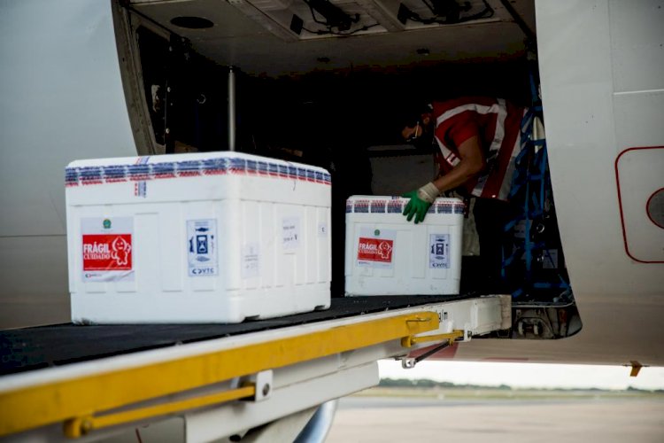 Colegiado define destinação da vacina Pfizer