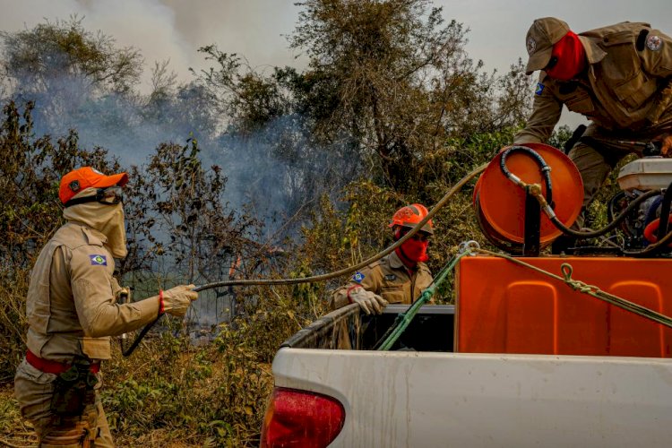 Governo de MT investe R$ 73 milhões em combate aos incêndios florestais e antecipa período proibitivo do fogo