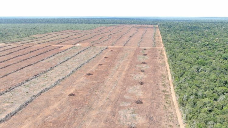 Corpo de Bombeiros aplica multa de R$ 3,8 milhões por desmatamento com uso irregular do fogo em área florestal