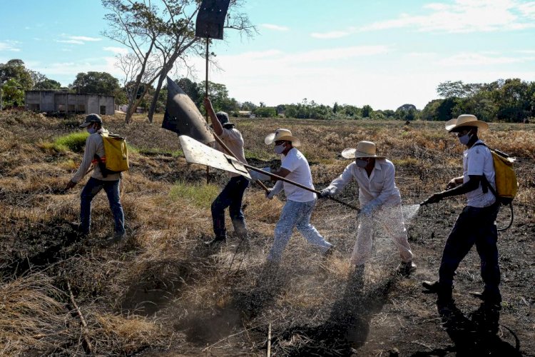 Corpo de Bombeiros firma parceria com prefeituras para criação de brigadas mistas de combate aos incêndios florestais