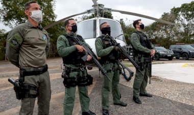 Estado age rápido e coloca mais de 100 servidores em campo para frear desmatamento ilegal