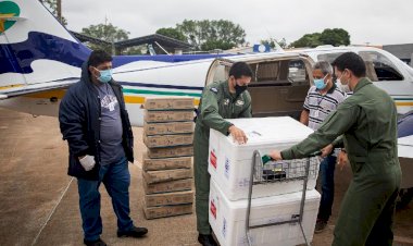 Colegiado define destinação de 100.860 doses de vacinas contra a Covid-19