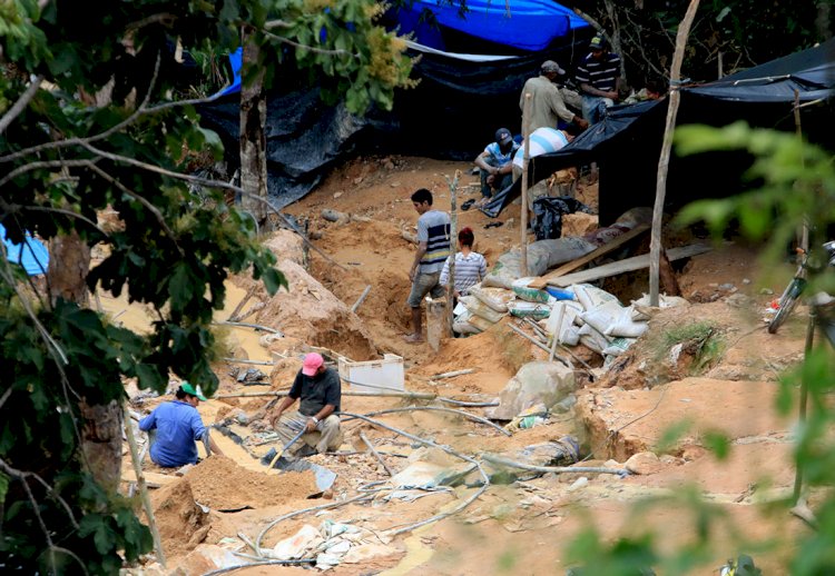 Malária avança e Mato Grosso já registrou 56% dos casos de 2020