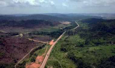 BR-163: grupo de Mato Grosso vence leilão de trecho que acessa Arco Norte