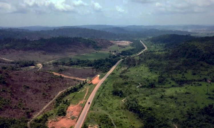 BR-163: grupo de Mato Grosso vence leilão de trecho que acessa Arco Norte