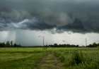 Invernada em Mato Grosso, Goiás e Minas Gerais dura até dia 20