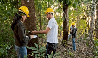 Atividades de manejo do setor madeireiro de Mato Grosso são apresentadas na COP 26