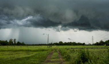 Invernada em Mato Grosso, Goiás e Minas Gerais dura até dia 20