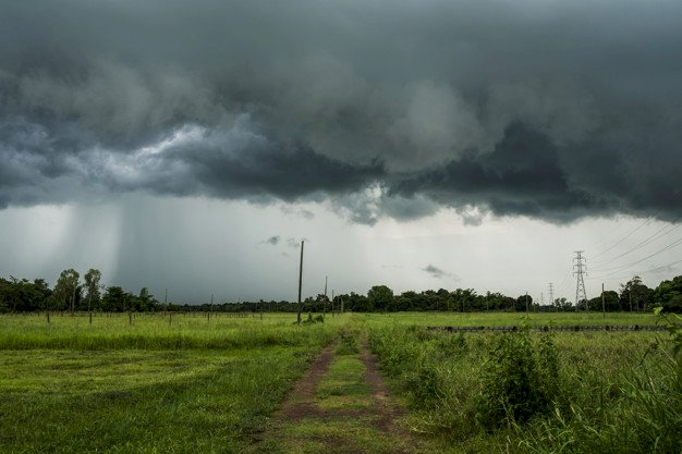 Invernada em Mato Grosso, Goiás e Minas Gerais dura até dia 20