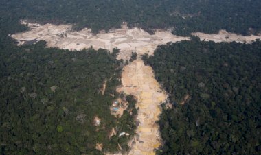 Governo Federal envia Força Nacional a terra indígena no MT