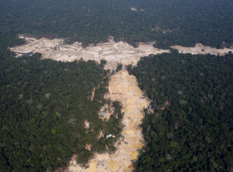Governo Federal envia Força Nacional a terra indígena no MT