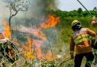 Brigadistas florestais: Mato Grosso abre 150 vagas para combater incêndios