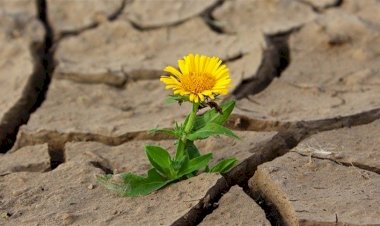 Estiagem atrasará plantio em Mato Grosso e Goiás