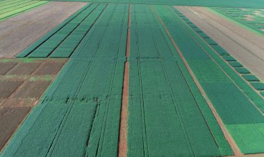 CHEGOU A 100%,  Plantio da soja em Mato Grosso é concluído