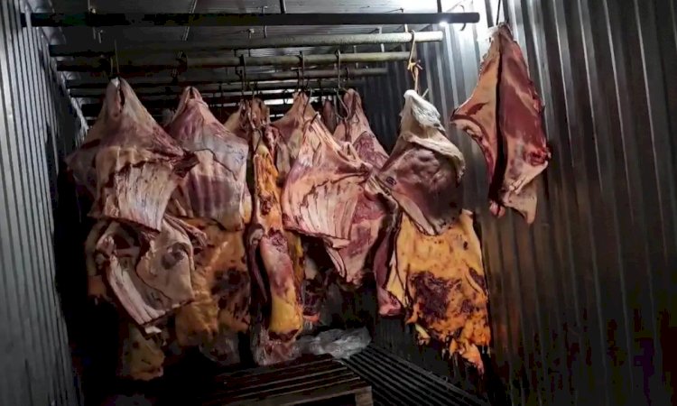 Indea apreende mais de 2 toneladas de carne imprópria para consumo em Mato Grosso