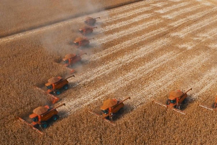 Mato Grosso deverá responder por 30? safra recorde de grãos no Brasil