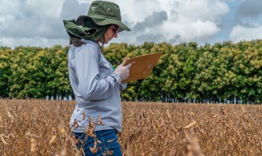 Pesquisas científicas voltada ao campo tornam lavouras mais eficientes e econômicas ao produtor